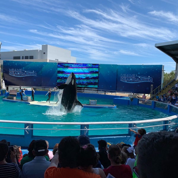 Photo taken at Miami Seaquarium by Stephanie H. on 10/28/2018