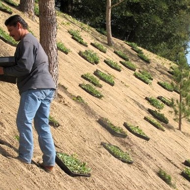 4/9/2015에 Gonzalez Landscaping &amp; Tree Service님이 Gonzalez Landscaping &amp; Tree Service에서 찍은 사진