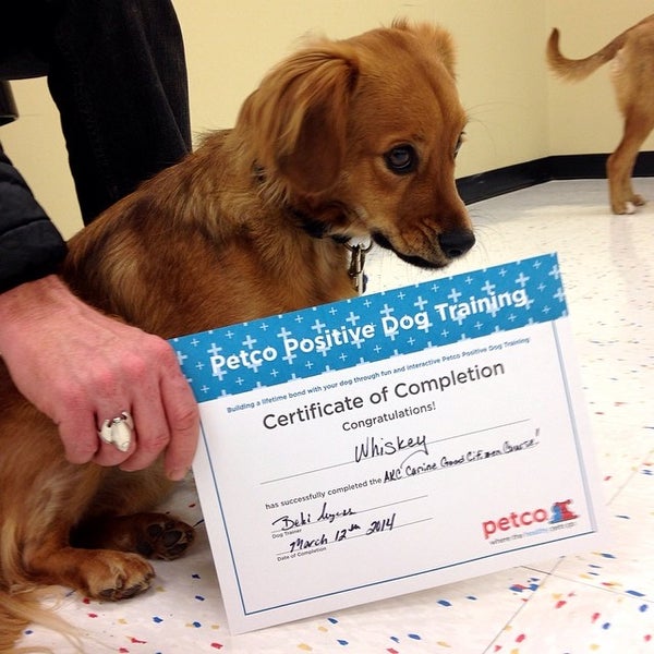 Petco Pet Supplies Store