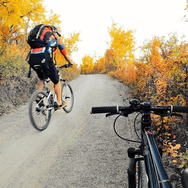 BikeBike Bike Shop - 125283 CywSKj0ky3C30Uga03af0DrY5AiF4cp4 USD3IUfl1E