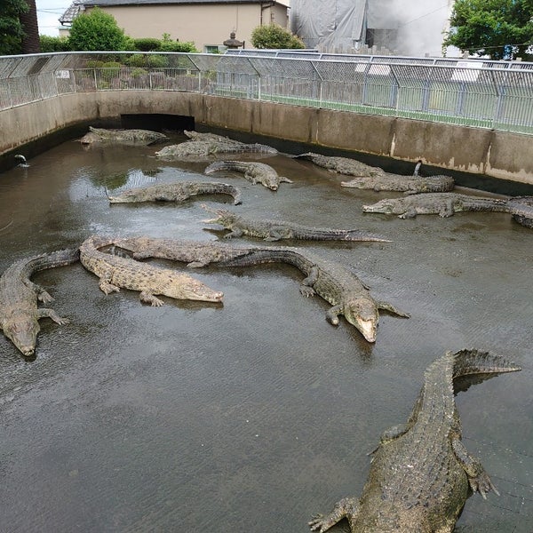 Photos At 鬼山ワニ地獄 鉄輪628