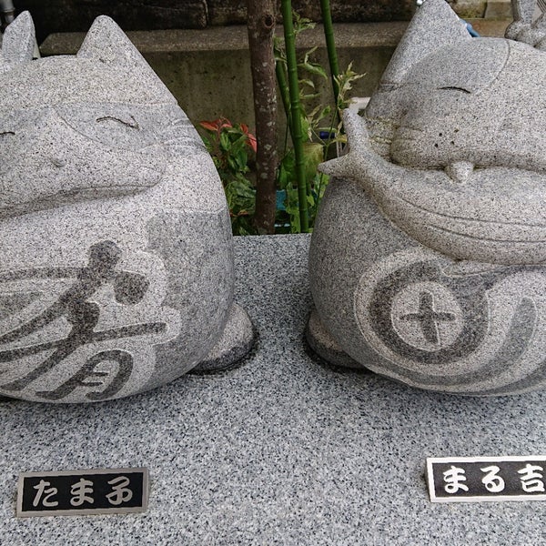 Photos At 肴町のだるま猫 浜松市 静岡県