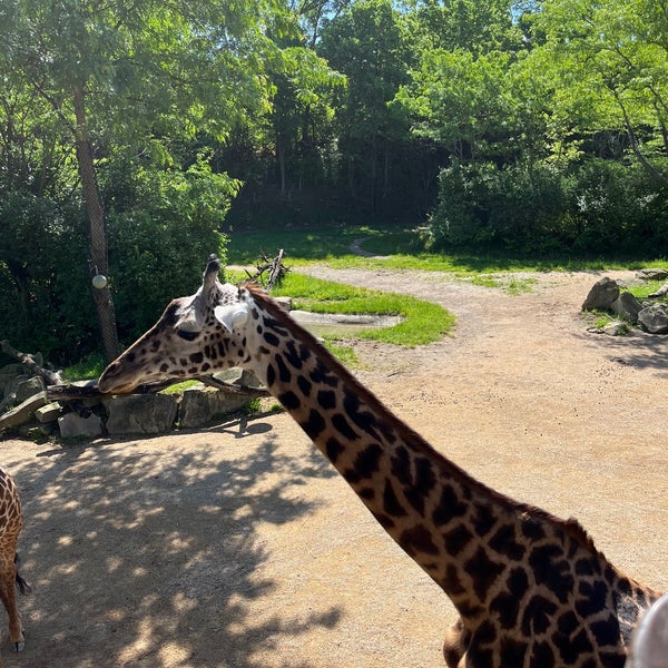 Foto diambil di Cincinnati Zoo &amp; Botanical Garden oleh Melissa H. pada 5/16/2022