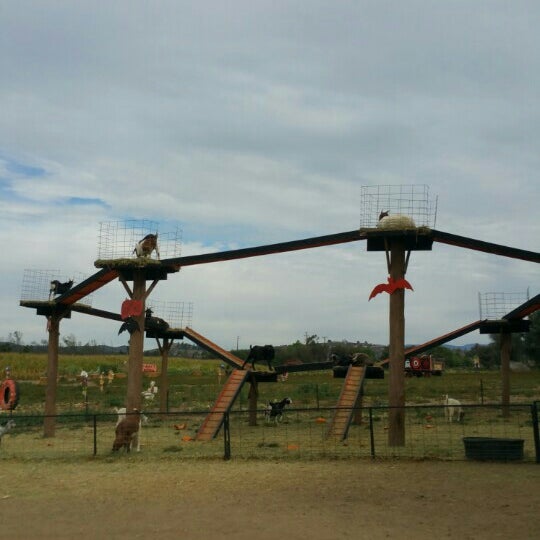 Mountain Valley Ranch Pumpkin Patch Farm