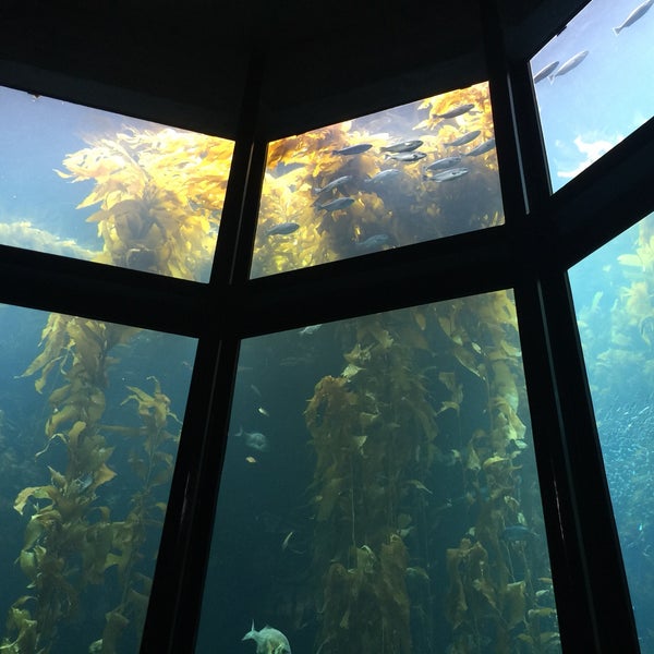 Foto tirada no(a) Monterey Bay Aquarium por John S. em 7/1/2017