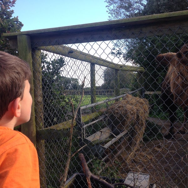What are the folly farm rules read. What are the folly farm rules read