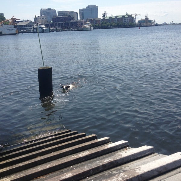 Bea Arthur Dog Park Dog Park in Ghent