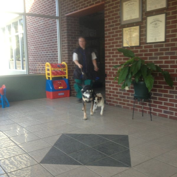 Augusta Valley Animal Hospital Veterinarian