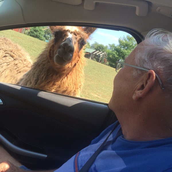 safari park virginia safari park virginia