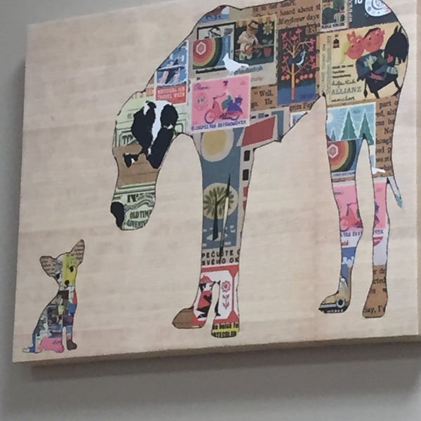 Augusta Valley Animal Hospital Veterinarian