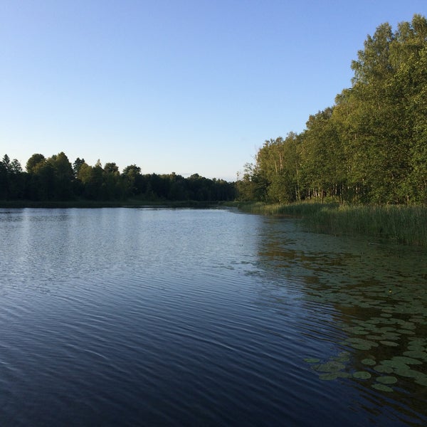 Озеро машино лужский район