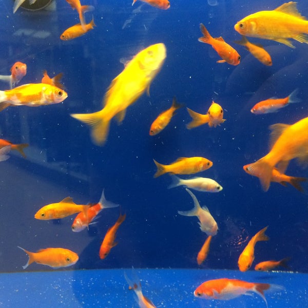 Photos At Feeders Supply Pet Store In East Louisville