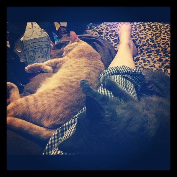 AllenDukesWhitaker Hall College Residence Hall