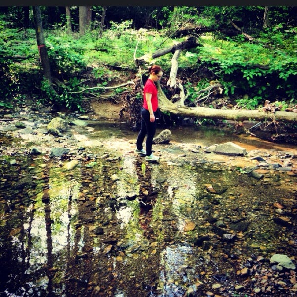 Soapstone Valley Park Forest Hills 2 tips