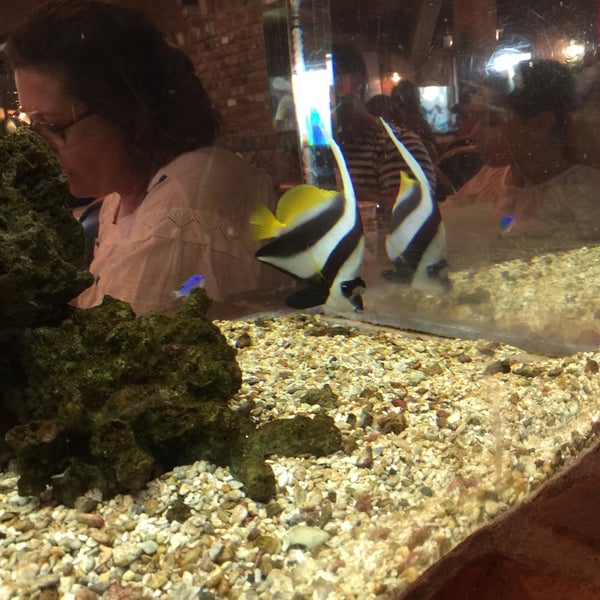 8/27/2015에 Debbie M.님이 Fish House Vera Cruz에서 찍은 사진