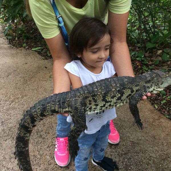 Photo taken at Crococun Zoo by EXanath on 6/18/2018