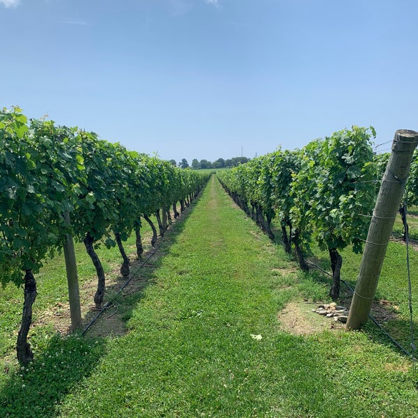 Das Foto wurde bei Newport Vineyards von The Style Gourmande am 7/20/2019 aufgenommen
