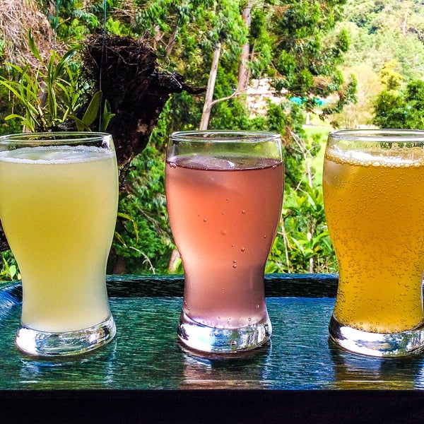 Sodas made on site from all natural and local ingredients:  Mango Soda, Watermellon Soda, Spicy Ginger Ale
