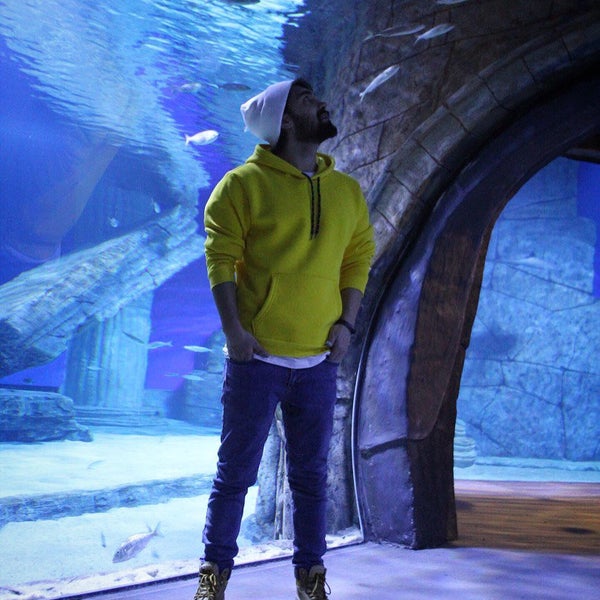 Das Foto wurde bei Funtastic Aquarium İzmir von Omid E. am 3/2/2020 aufgenommen