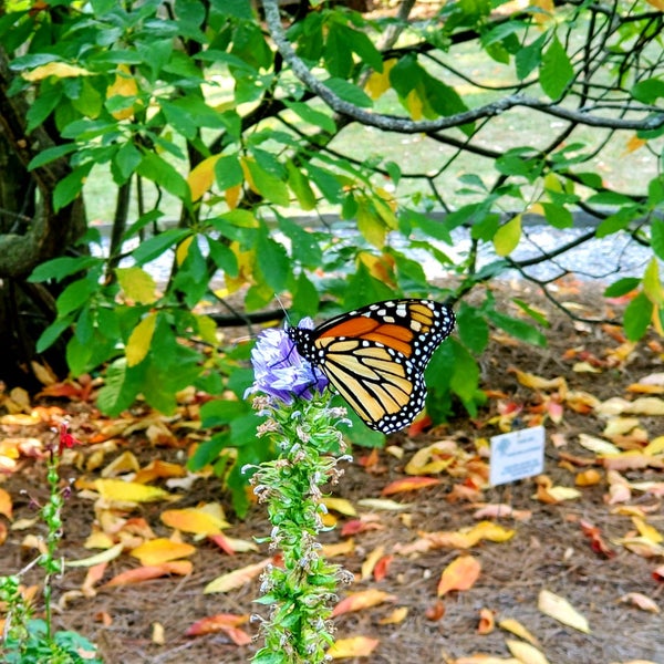 Photo taken at Bartram&#39;s Garden by Mike on 9/22/2019