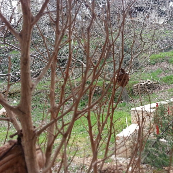 3/31/2013 tarihinde Evi X.ziyaretçi tarafından Trikala Korinthias'de çekilen fotoğraf