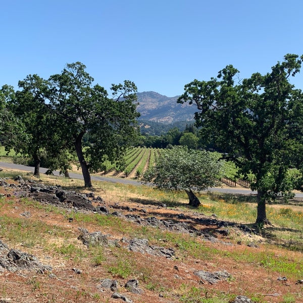Photo taken at Domaine Chandon by EJ M. on 5/11/2019