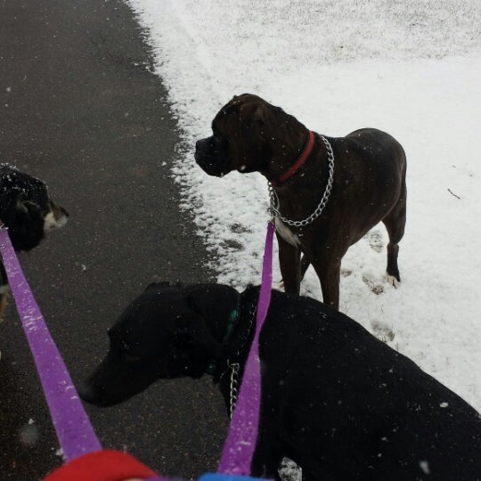 Carl G Morse Park Park