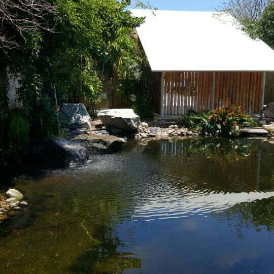 Foto diambil di Ichimura Miami Japanese Garden oleh Roberto V. pada 5/1/2015