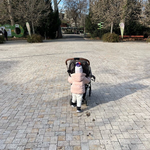 Foto scattata a Budapesti Állatkert | Budapest Zoo da István K. il 1/24/2023