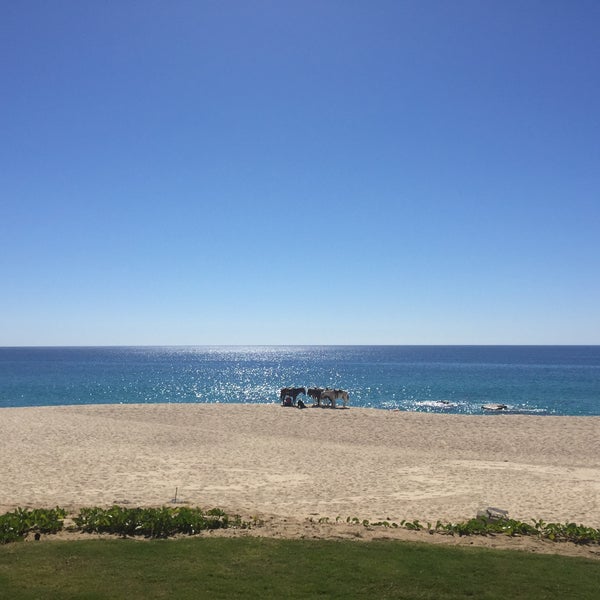 Photo taken at Dreams Los Cabos Suites Golf Resort &amp; Spa by Jenny C. on 1/31/2016