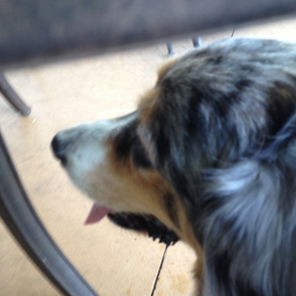 Argos Family Diner Diner