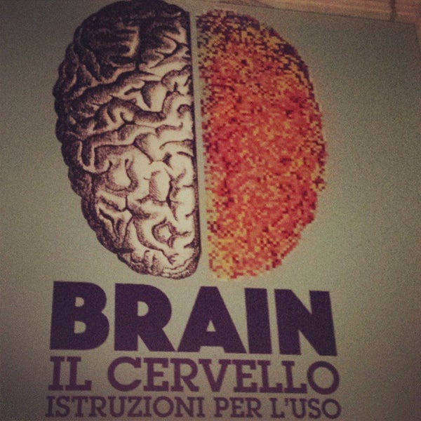 Brain 55