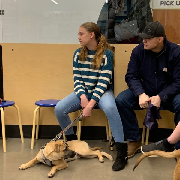 PetSmart Stapleton Denver, CO