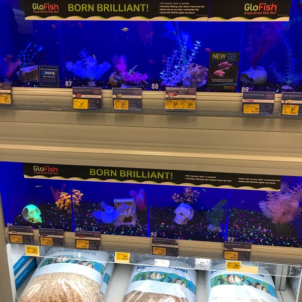 PetSmart 44551 Valley Central Way