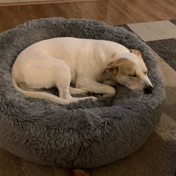 Dink's Deli & Bagel Bakery Deli in Santa Clarita