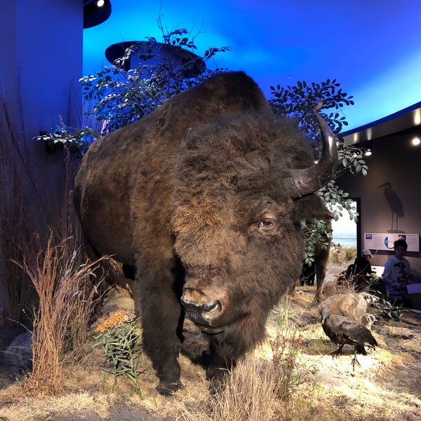 Photo taken at The Witte Museum by B B. on 4/26/2019