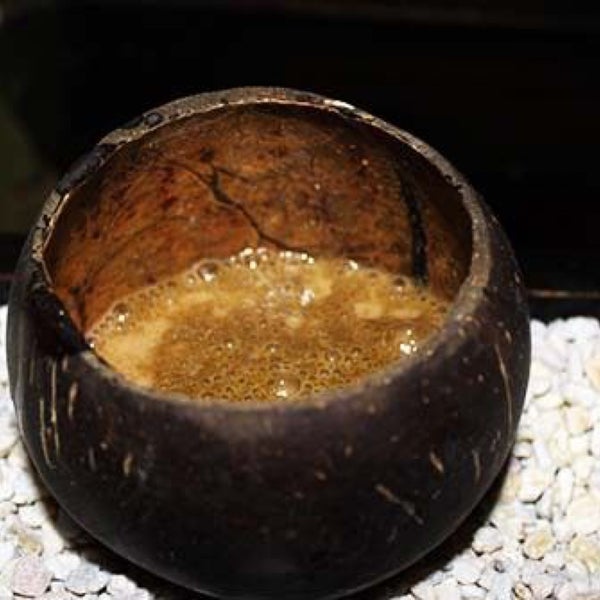 Kavasutra Kava Bar Cheesman Park Denver, CO