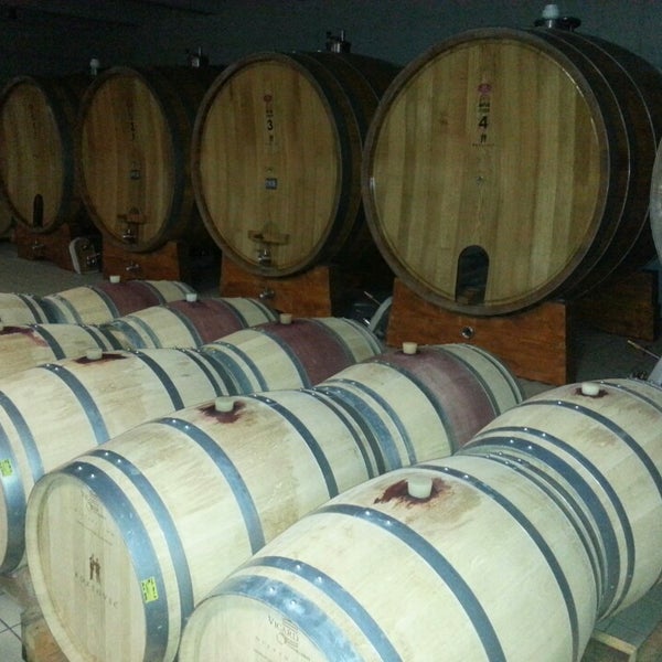 5/13/2014에 Sasa R.님이 Kozlović Winery에서 찍은 사진