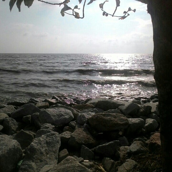 Pantai Sungai Kajang Kampung Tanjung Karang Selangor Da Fotograflar