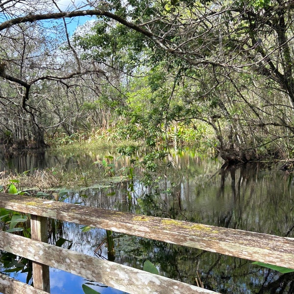 Photo taken at Audubon&#39;s Corkscrew Swamp Sanctuary by Julie A. on 2/10/2023