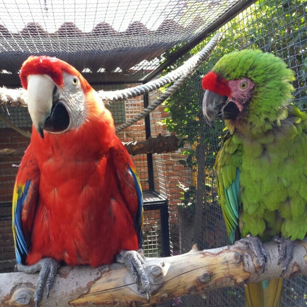 Foto tomada en Zoo Parque Loro  por AdryBere G. el 8/2/2015