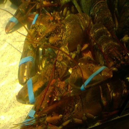 9/1/2013에 Melissa B.님이 Red Lobster에서 찍은 사진