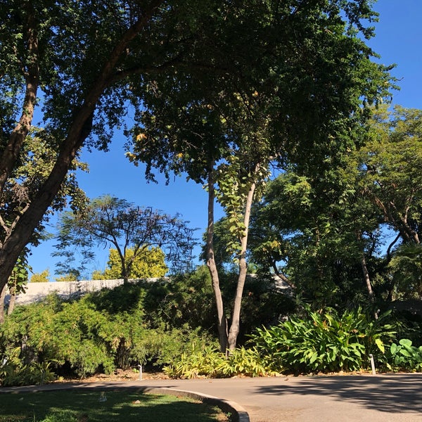 รูปภาพถ่ายที่ Jardín Botánico Culiacán โดย ❤️Cynthia F. เมื่อ 12/27/2018