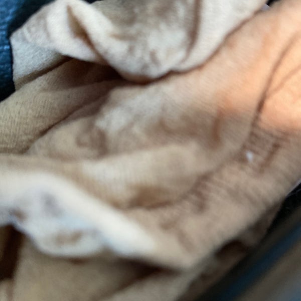 Petco Snellville, GA