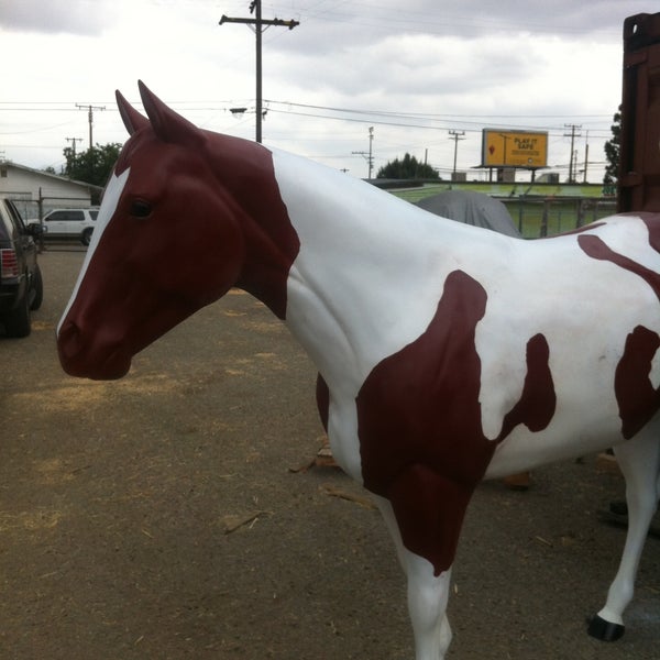 All Pet Feed Tack 25598 Base Line St