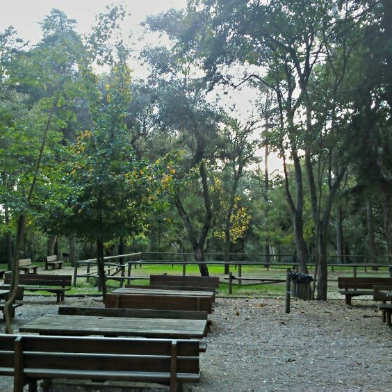 Parque de Merendas da Alameda Keil do Amaral Lugares ao Ar Livre em