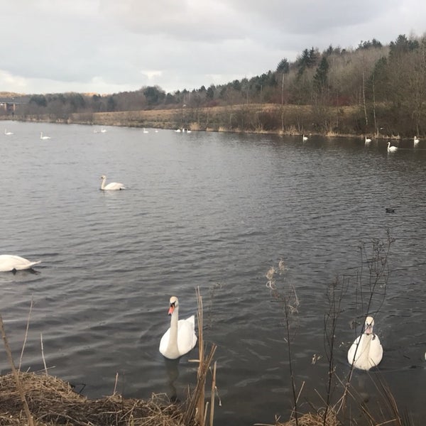 Broadwood Stadium Cumbernauld, North Lanarkshire