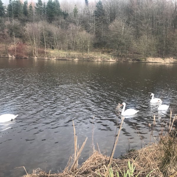 Broadwood Stadium Cumbernauld, North Lanarkshire