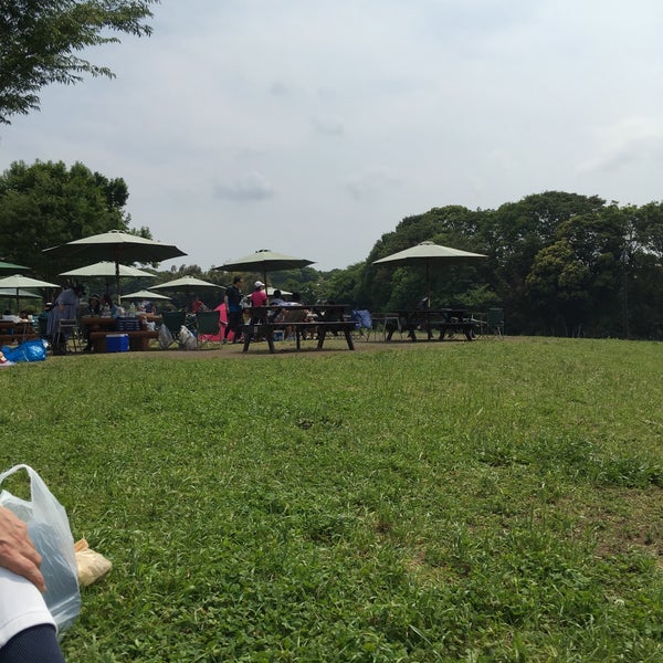 Photos At 茅ヶ崎里山公園 里山バーベキュー場 芹沢2267
