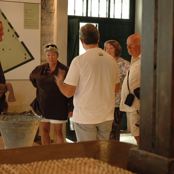 5/12/2015에 Paragaea Old Olive Oil Factory님이 Paragaea Old Olive Oil Factory에서 찍은 사진